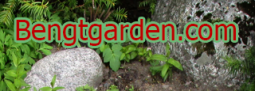 Beng-T-Garden